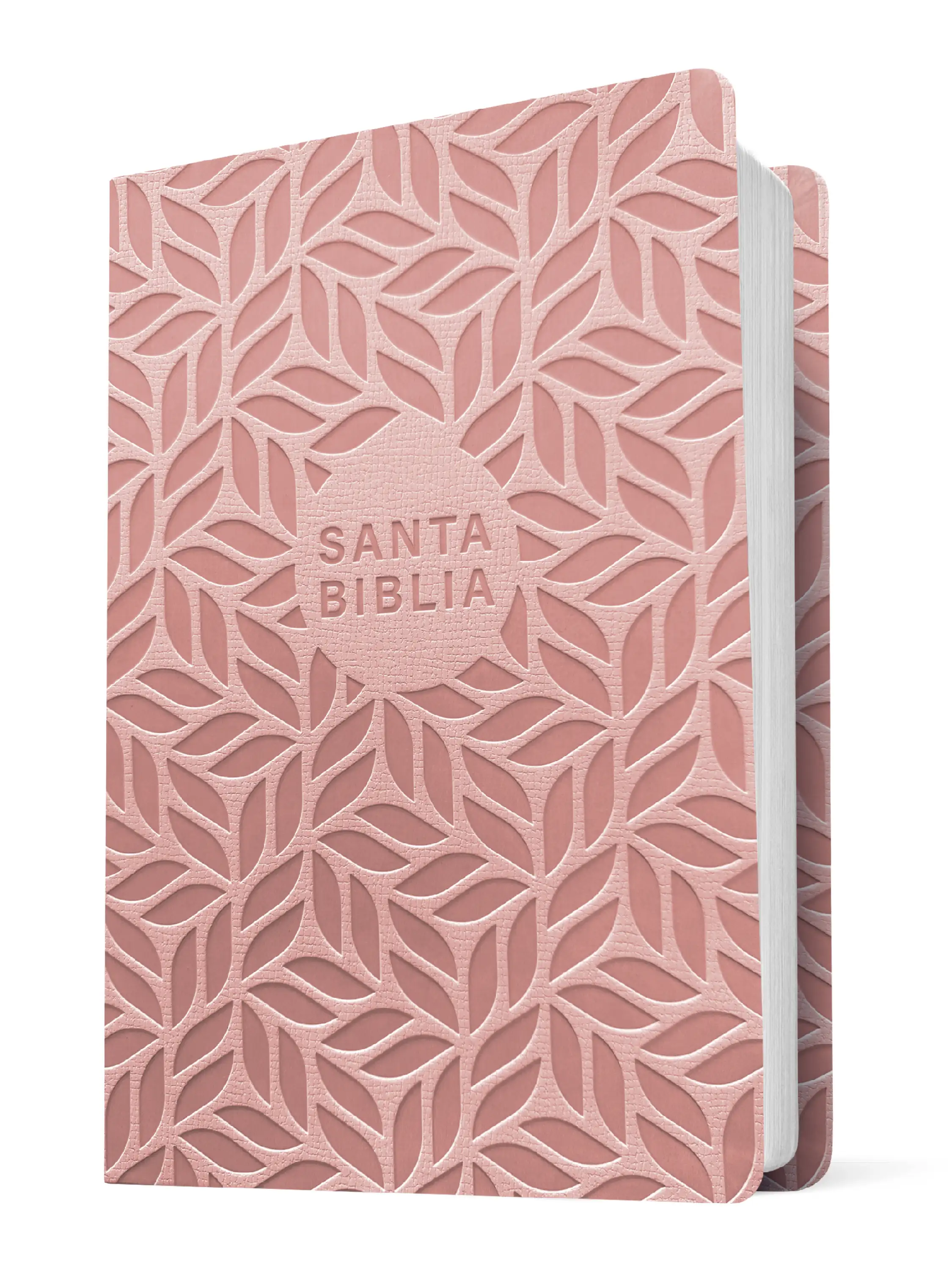Biblia valor prémium NTV, letra grande con Filament 4 Biblia valor prémium NTV, letra grande con Filament