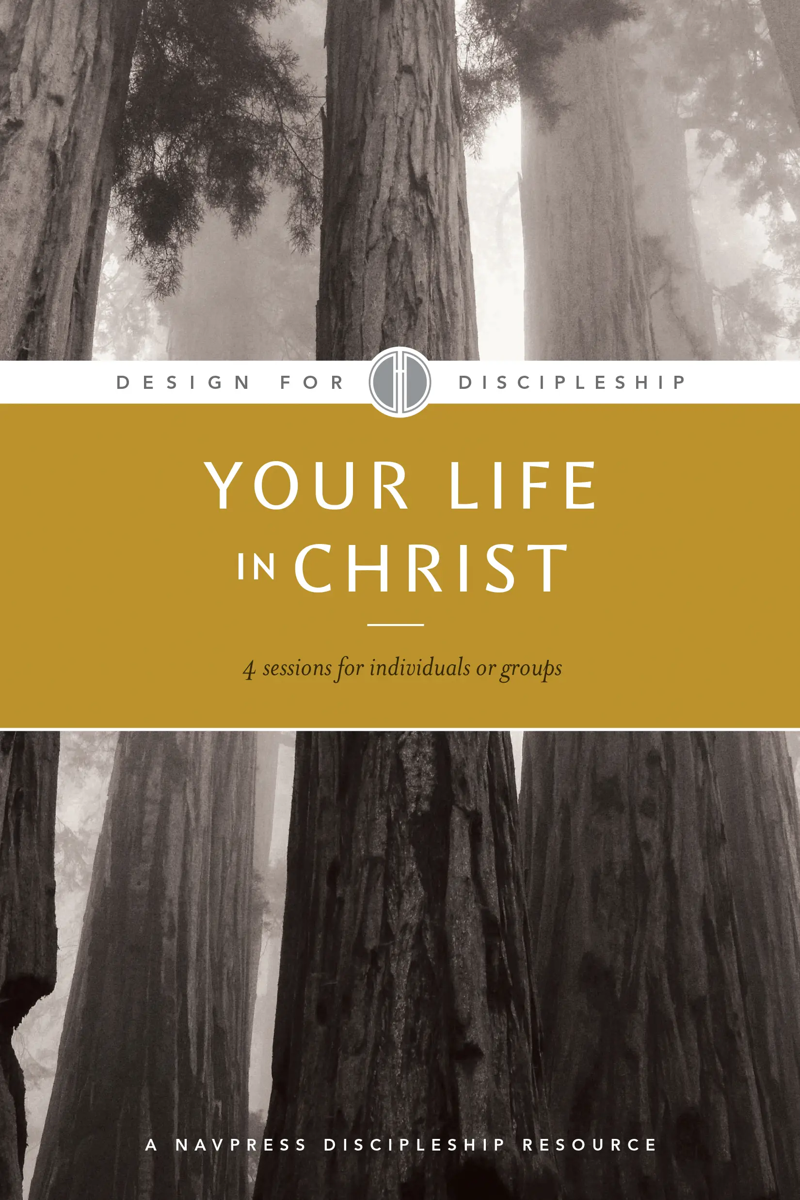 Your Life in Christ 