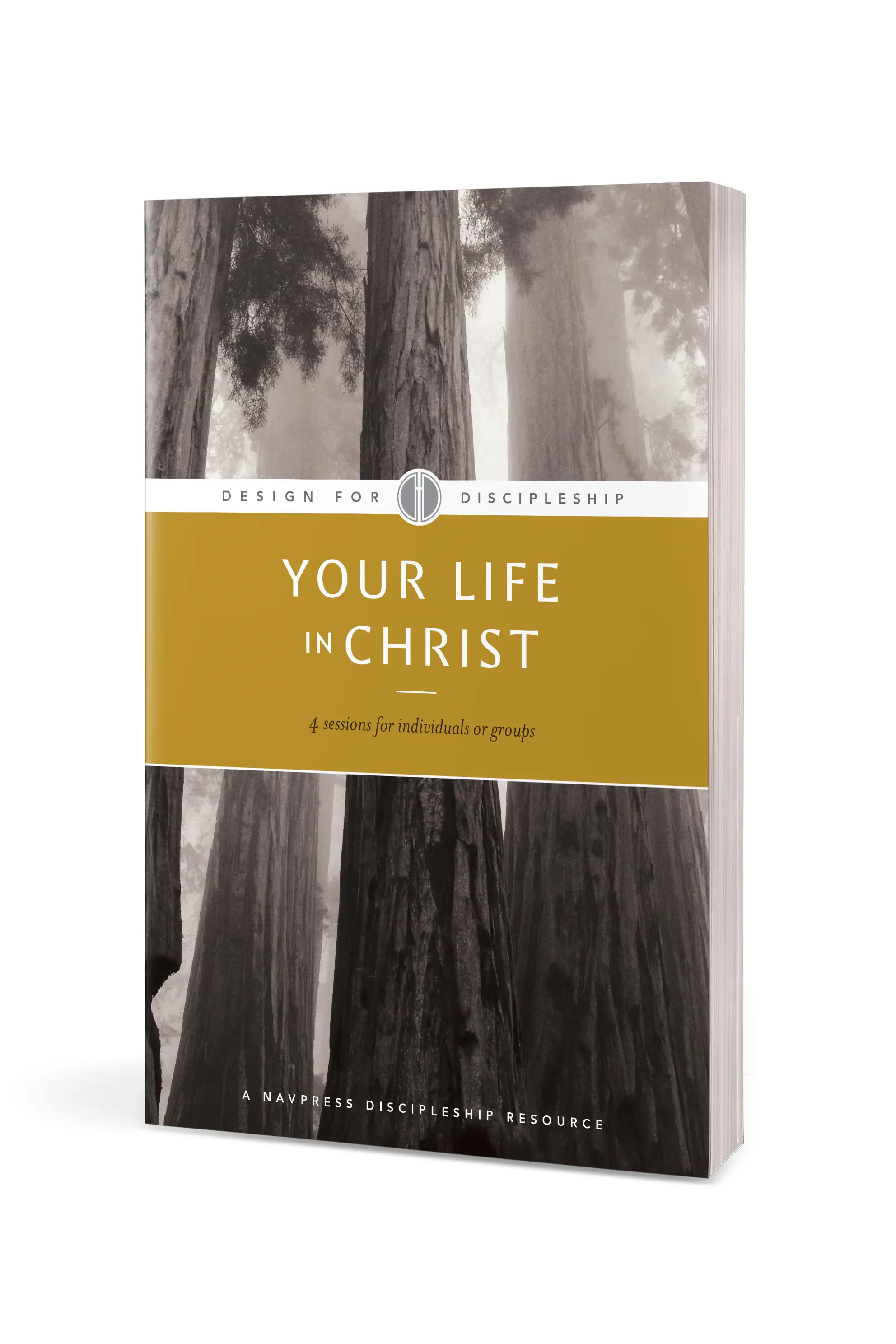 Your Life In Christ Tyndale