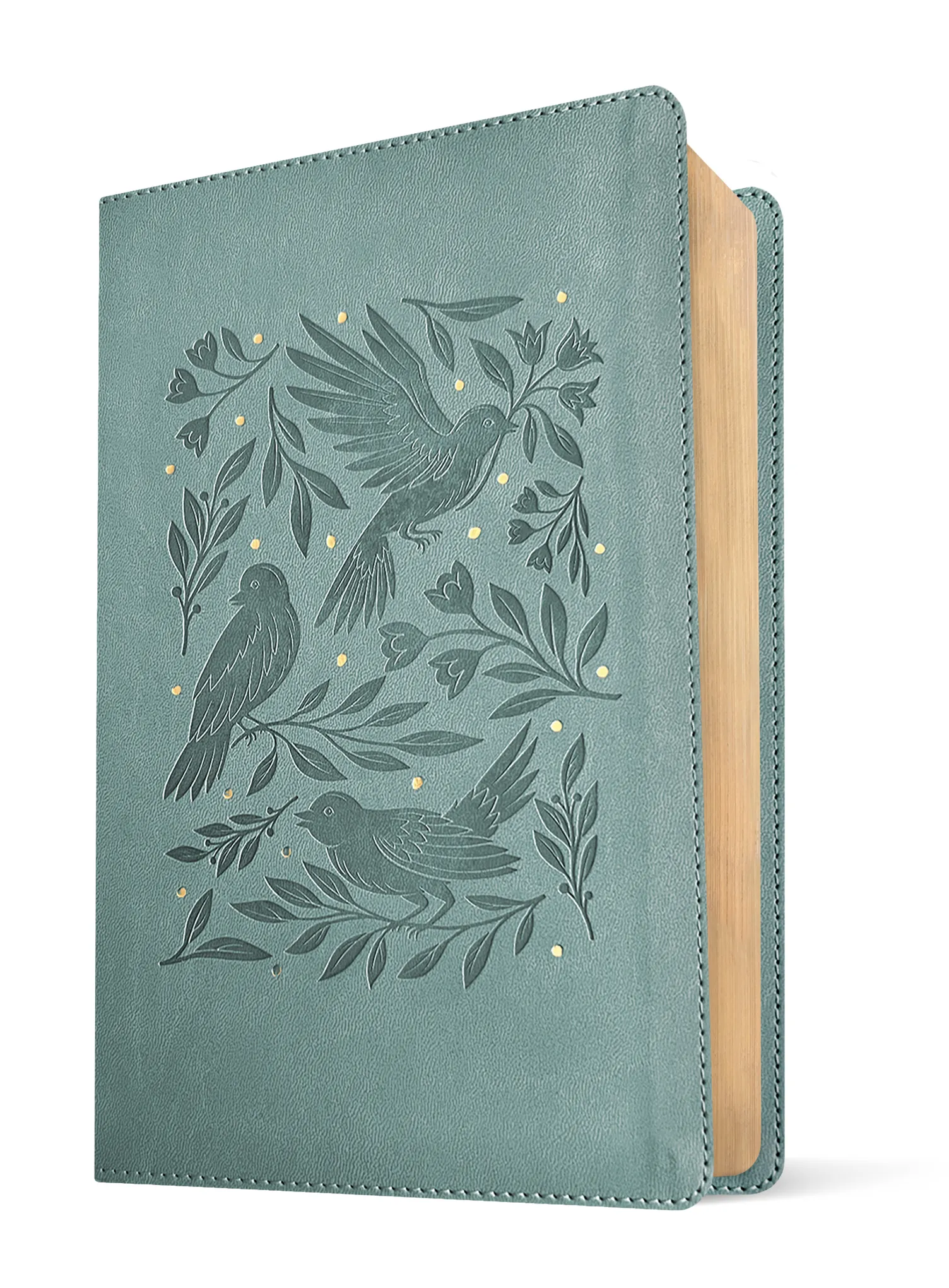 NLT The One Year Bible For Women Tyndale