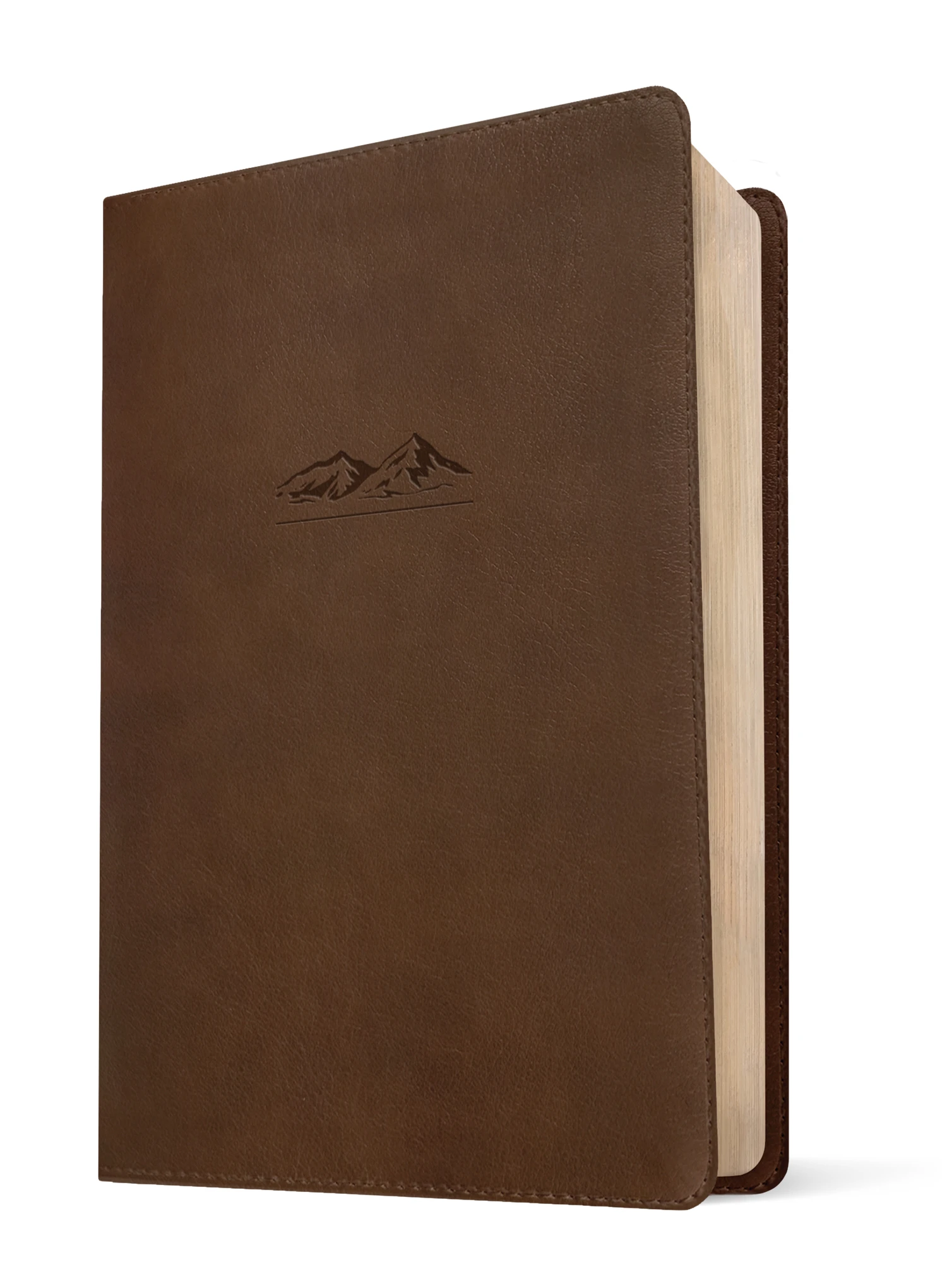 NLT The One Year Bible for Men 4 NLT The One Year Bible for Men