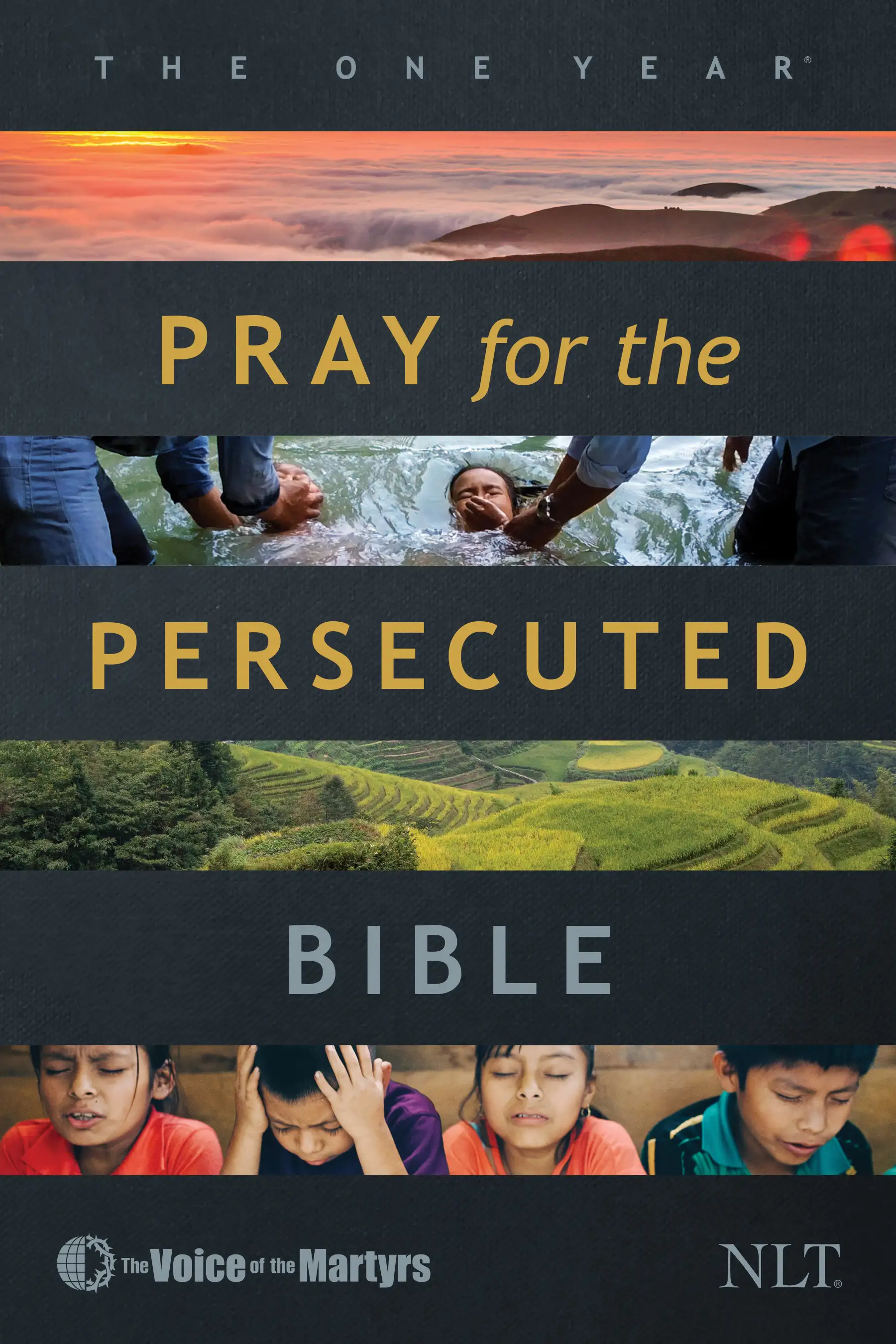 The One Year Pray for the Persecuted Bible NLT 