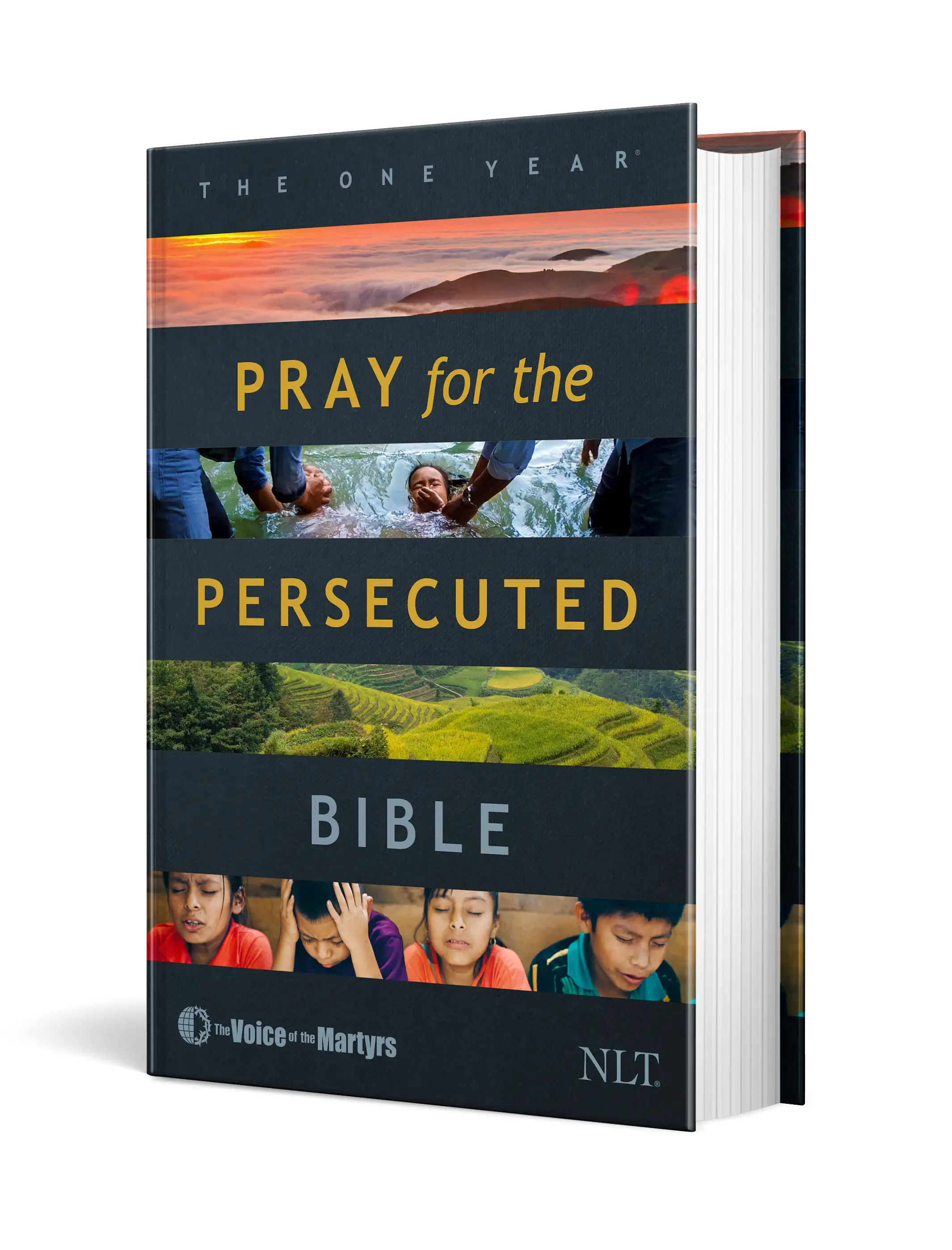 The One Year Pray for the Persecuted Bible NLT 2 The One Year Pray for the Persecuted Bible NLT