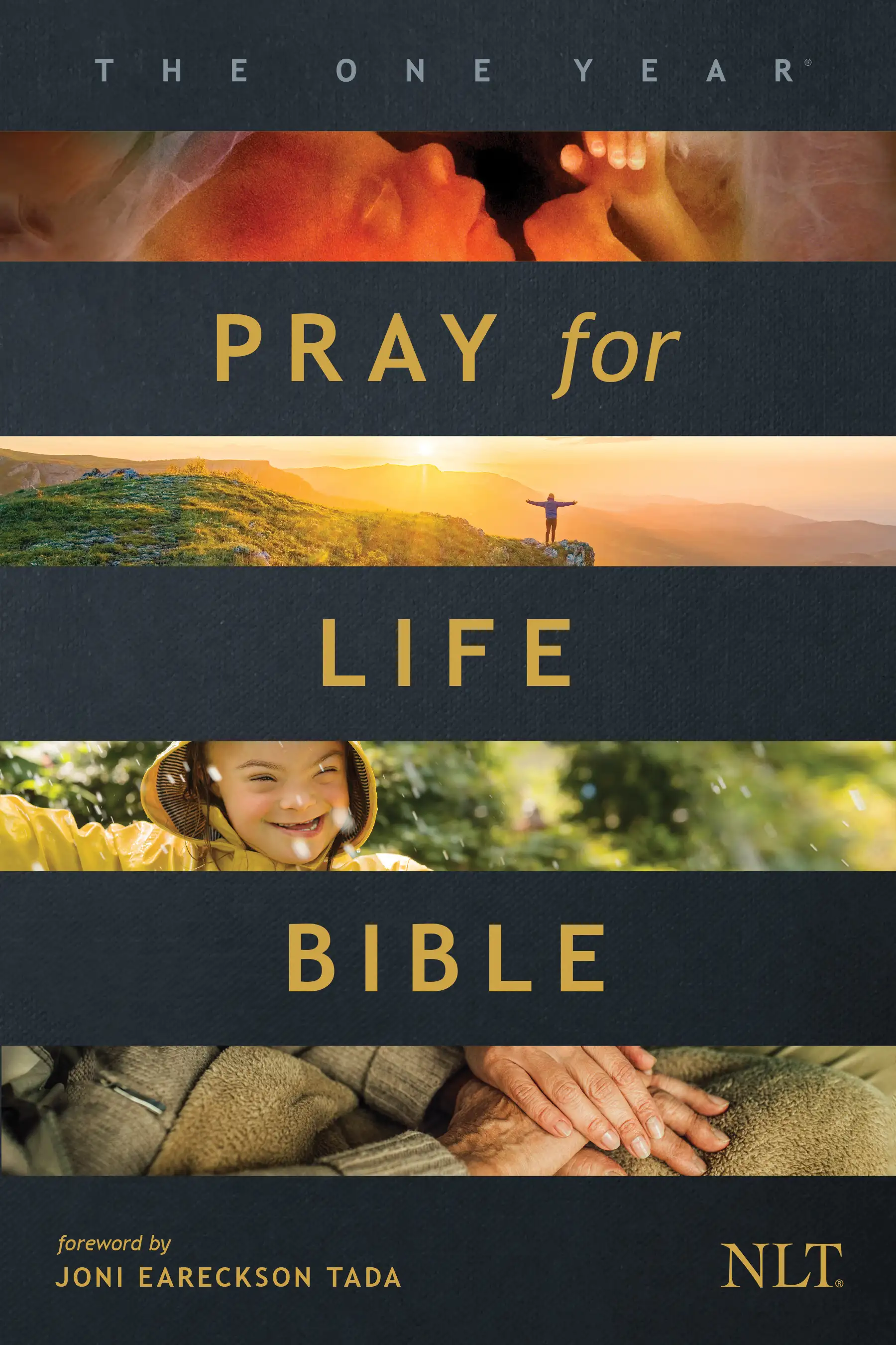 The One Year Pray for Life Bible NLT 