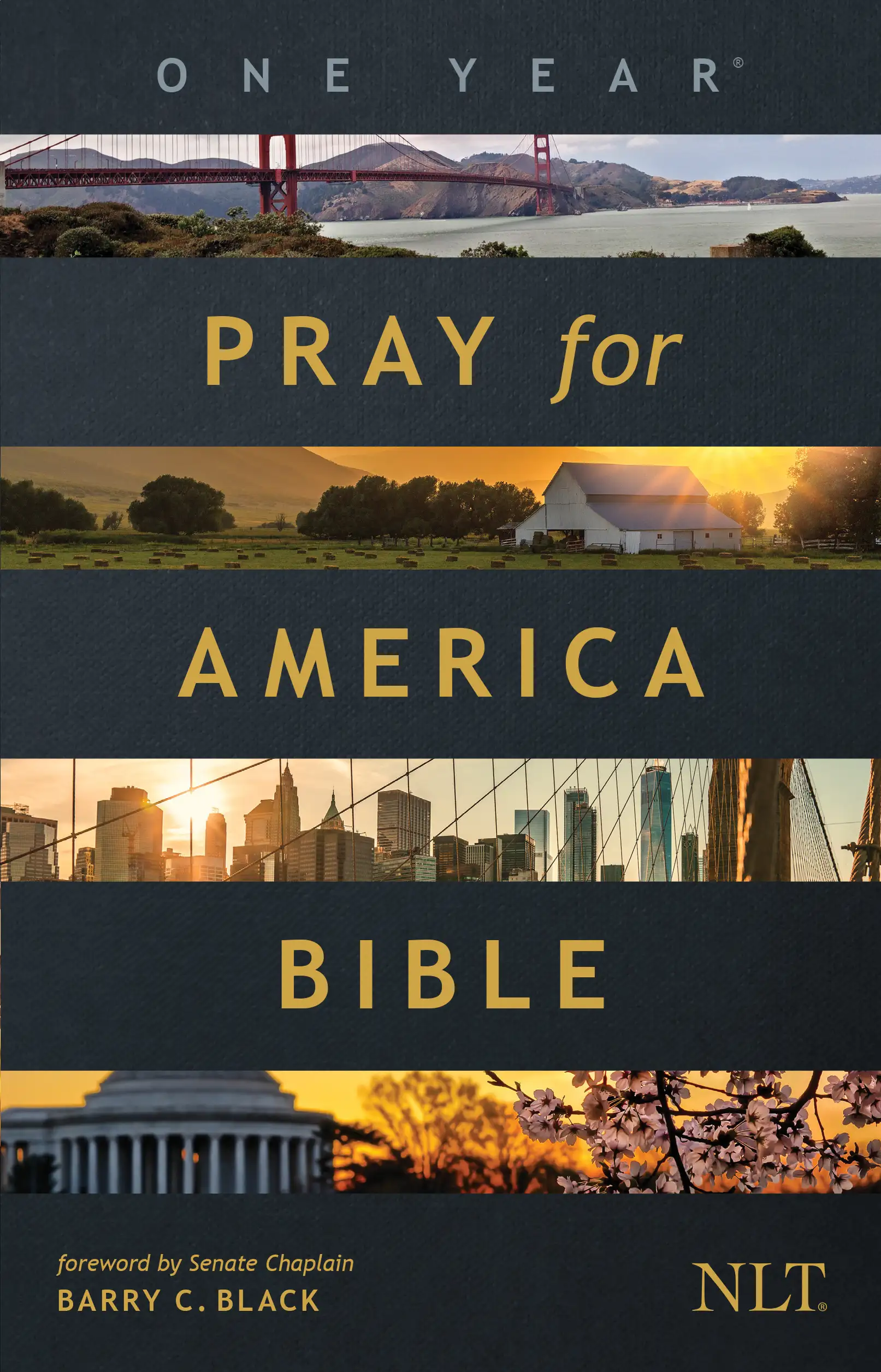 The One Year Pray for America Bible NLT 