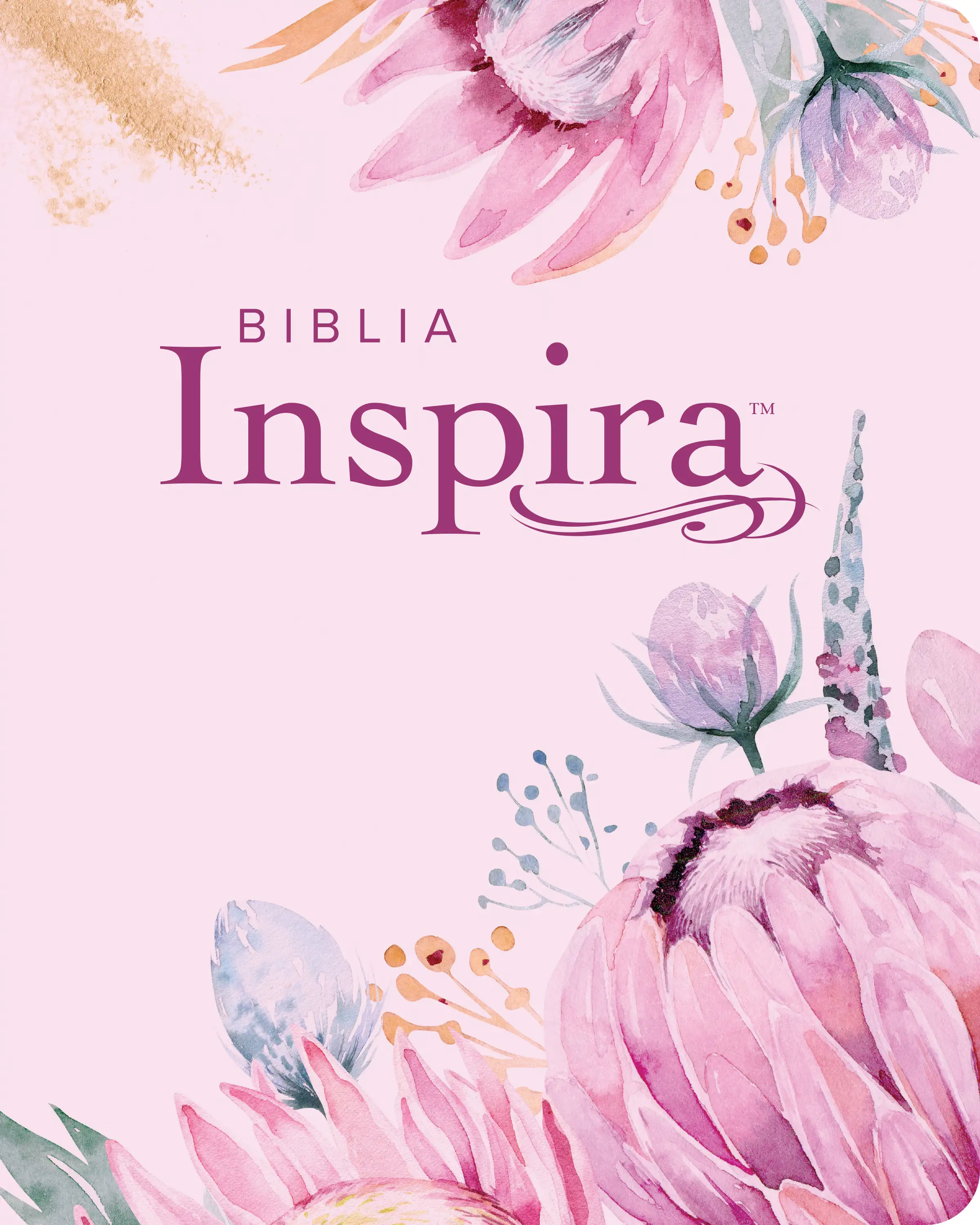Biblia Inspira NTV, letra grande con Filament 3 Biblia Inspira NTV, letra grande con Filament