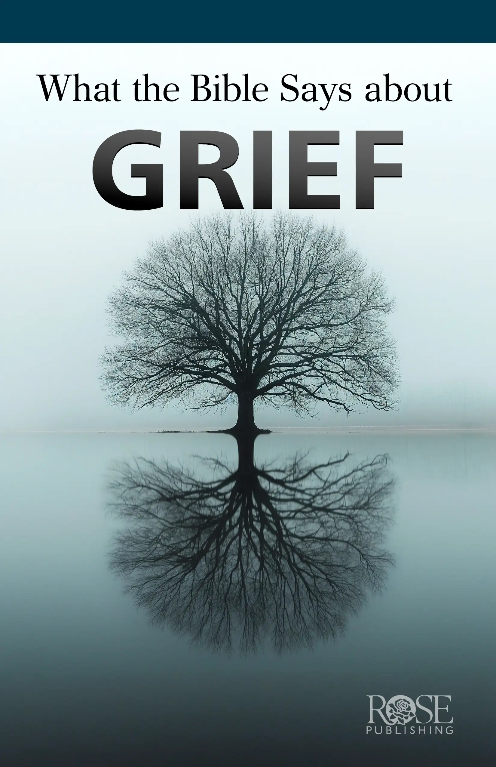 What the Bible Says About Grief 