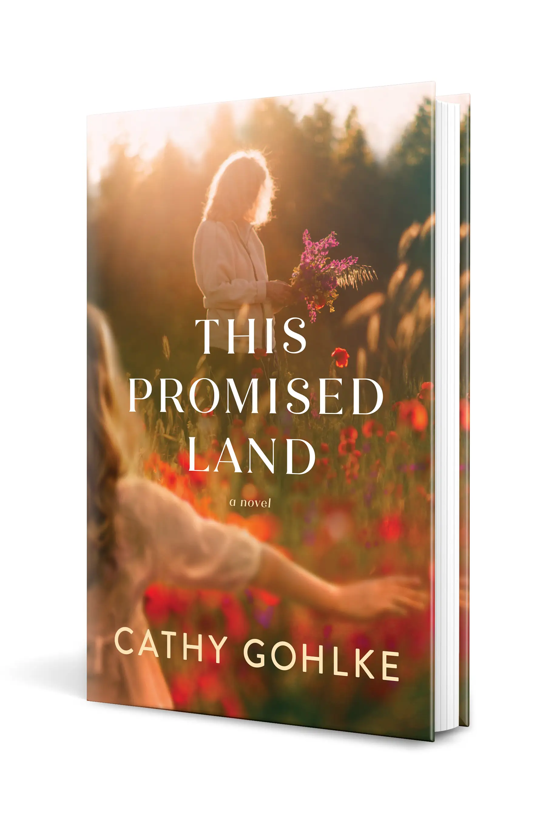 This Promised Land 2 This Promised Land
