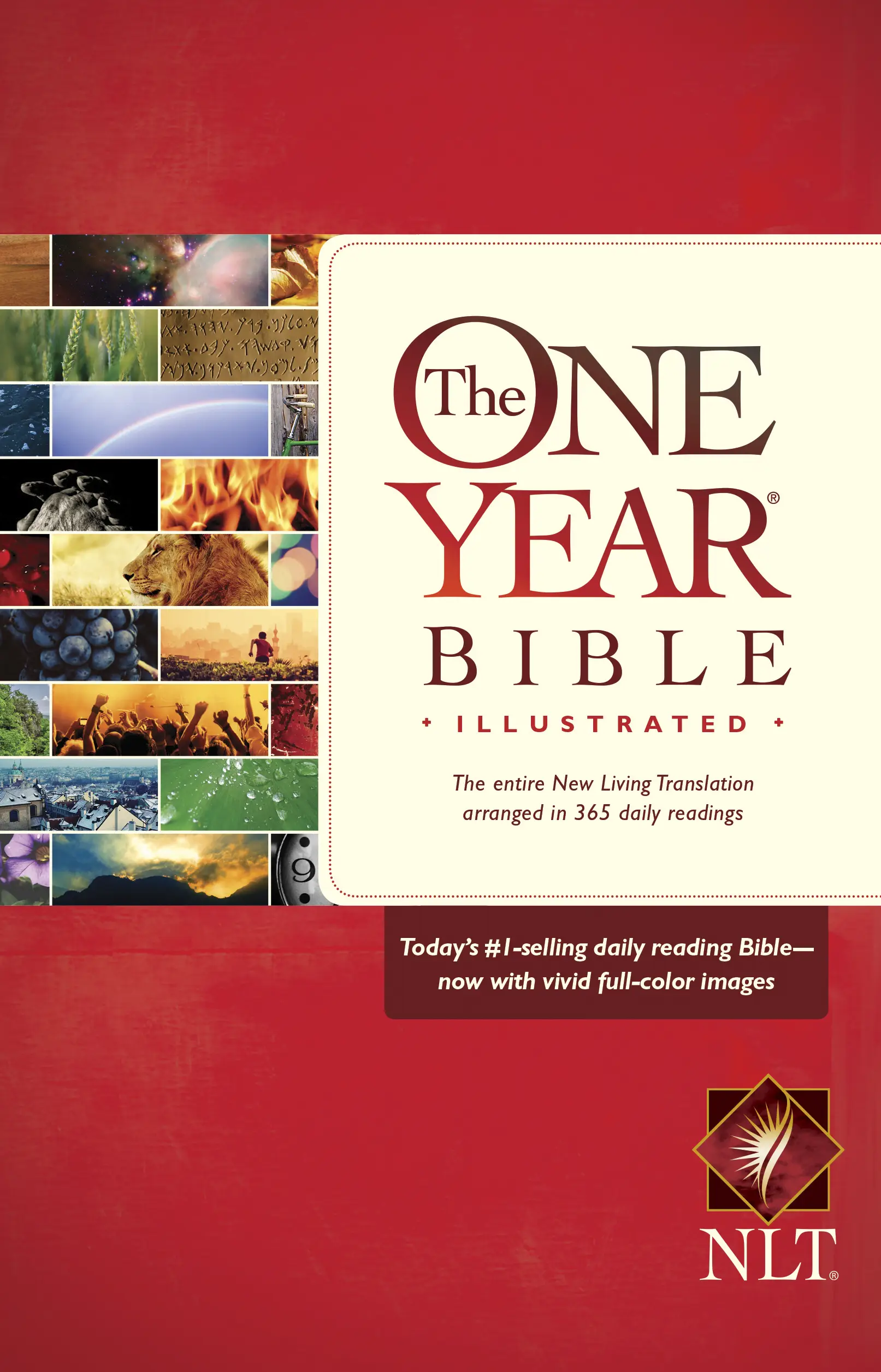 The One Year Bible Illustrated NLT 