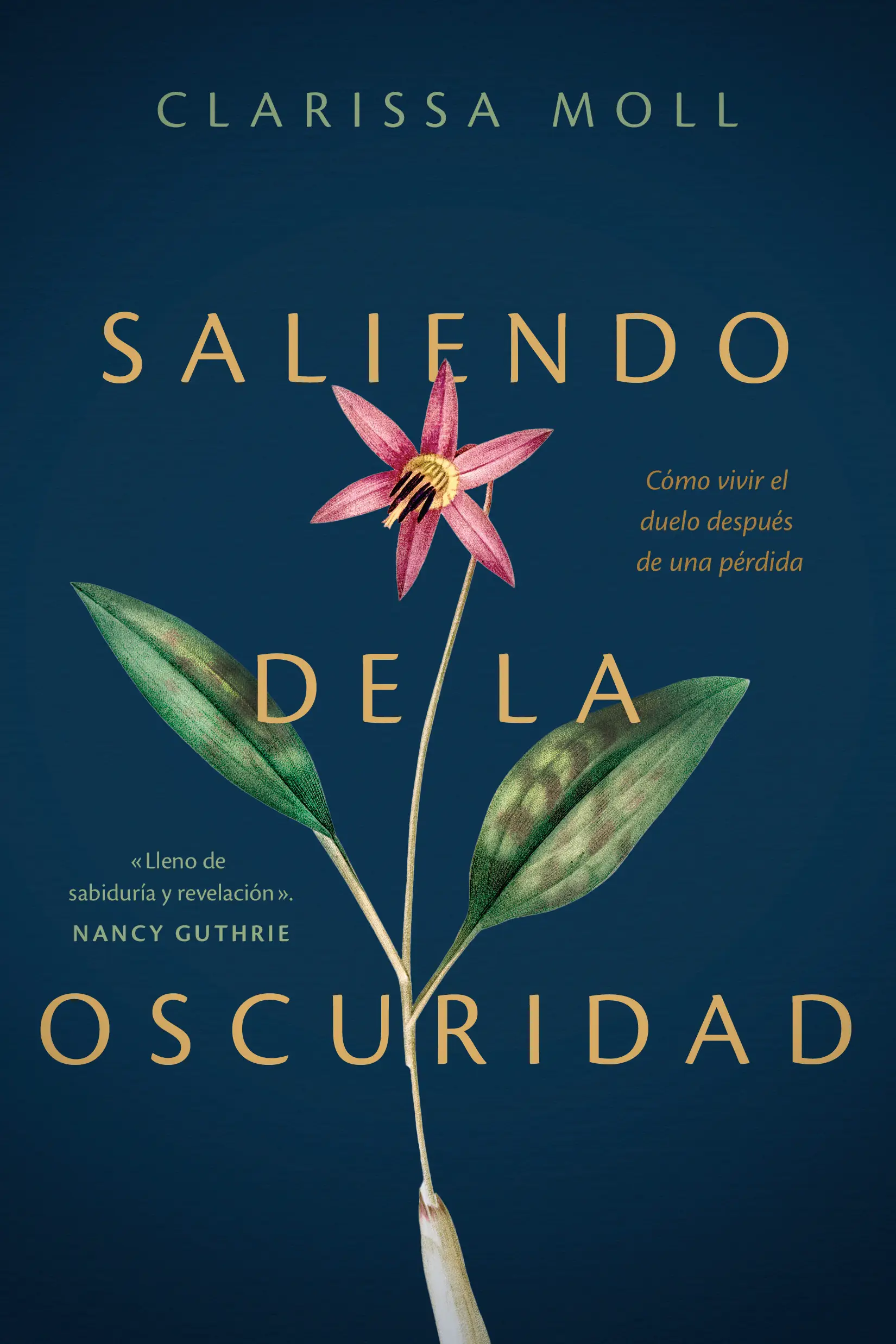 Saliendo de la oscuridad 
