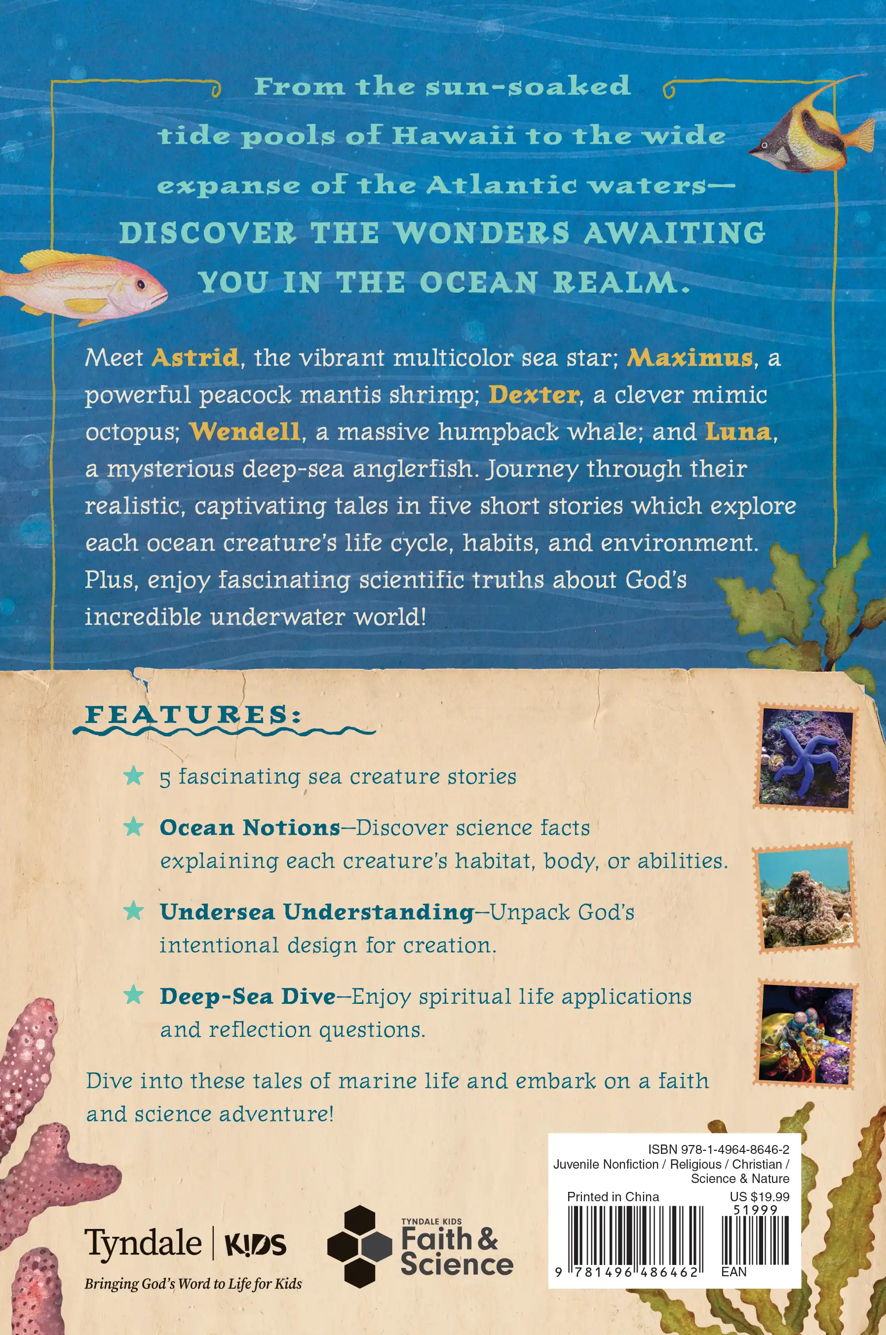 Wonders of the Ocean Realm 3 Wonders of the Ocean Realm