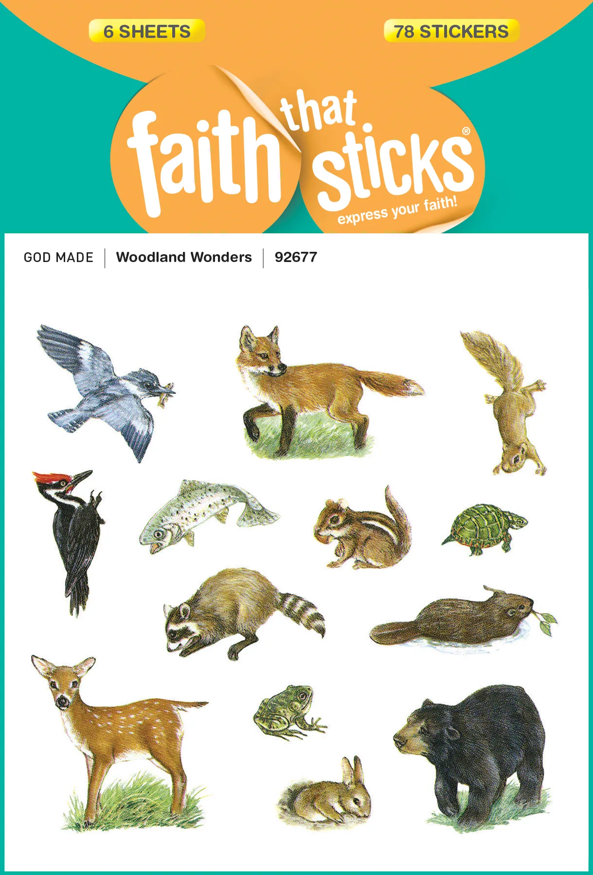 Woodland Wonders 