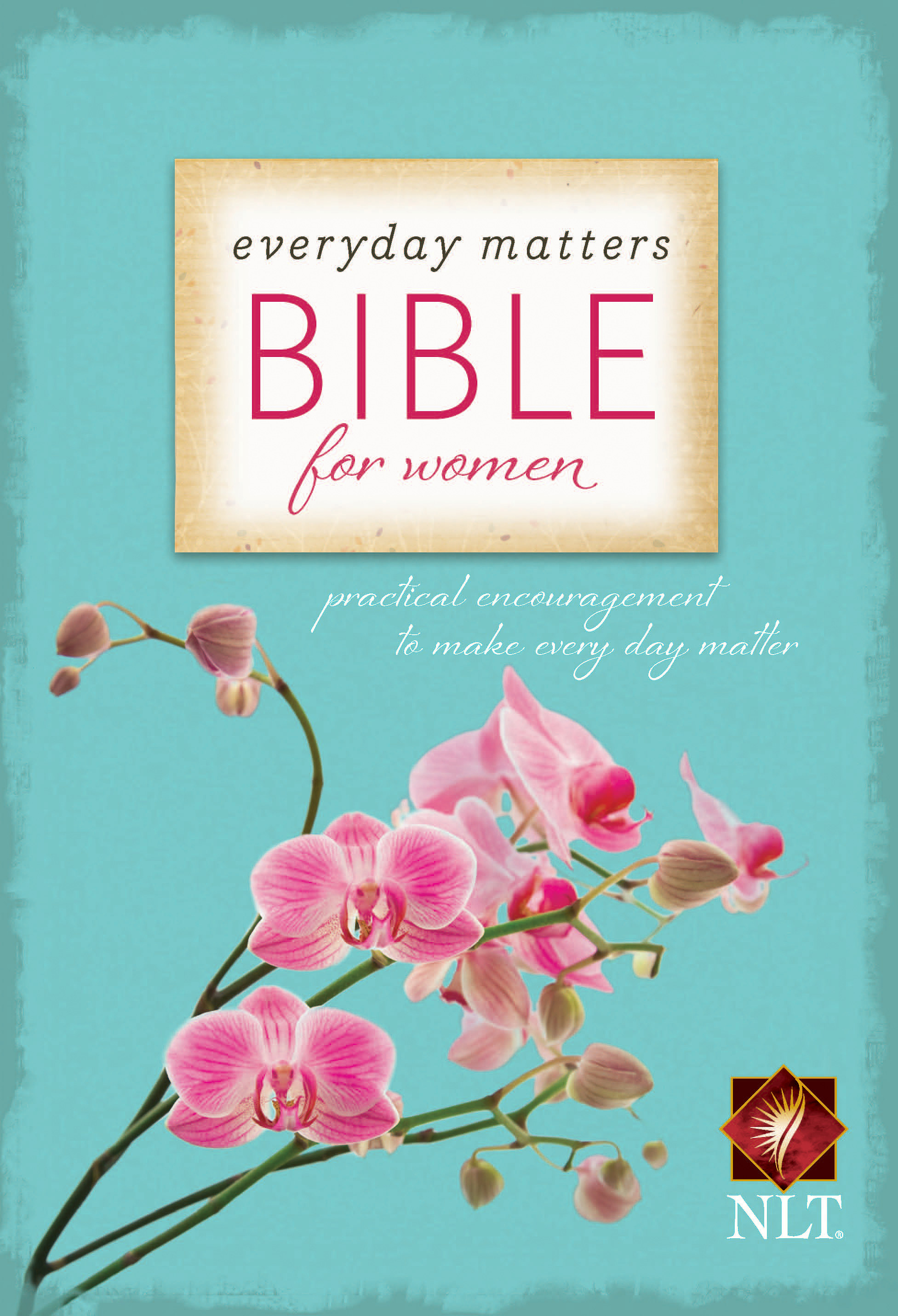 Everyday Matters Bible for Women 