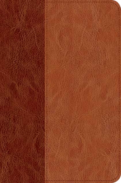 Slimline Center Column Reference Bible NLT 2 Slimline Center Column Reference Bible NLT
