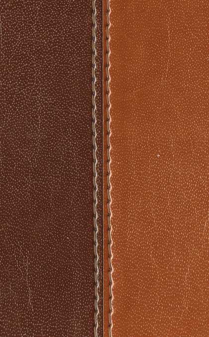 Slimline Center Column Reference Bible NLT 3 Slimline Center Column Reference Bible NLT