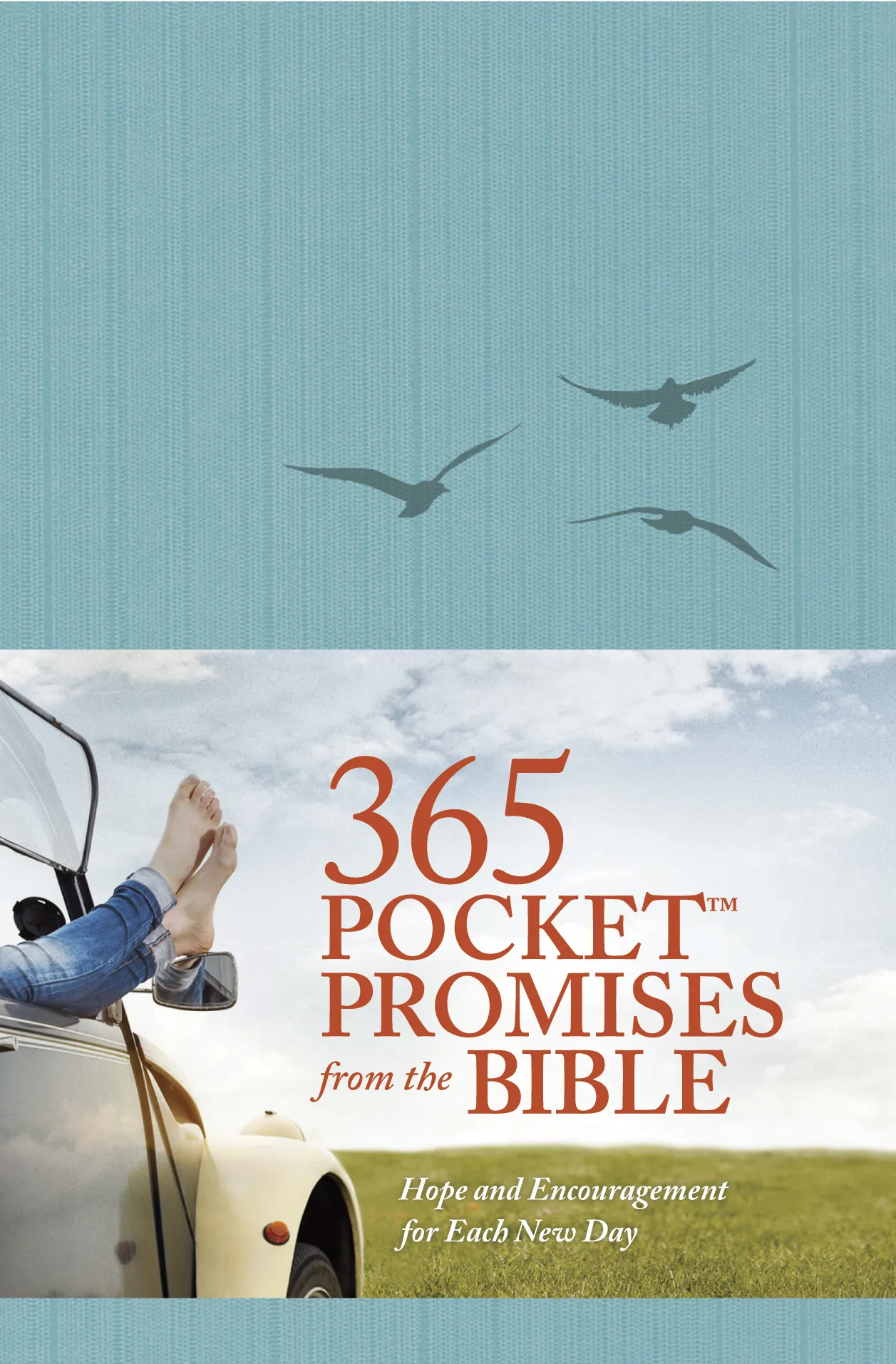 365 Pocket Promises from the Bible 