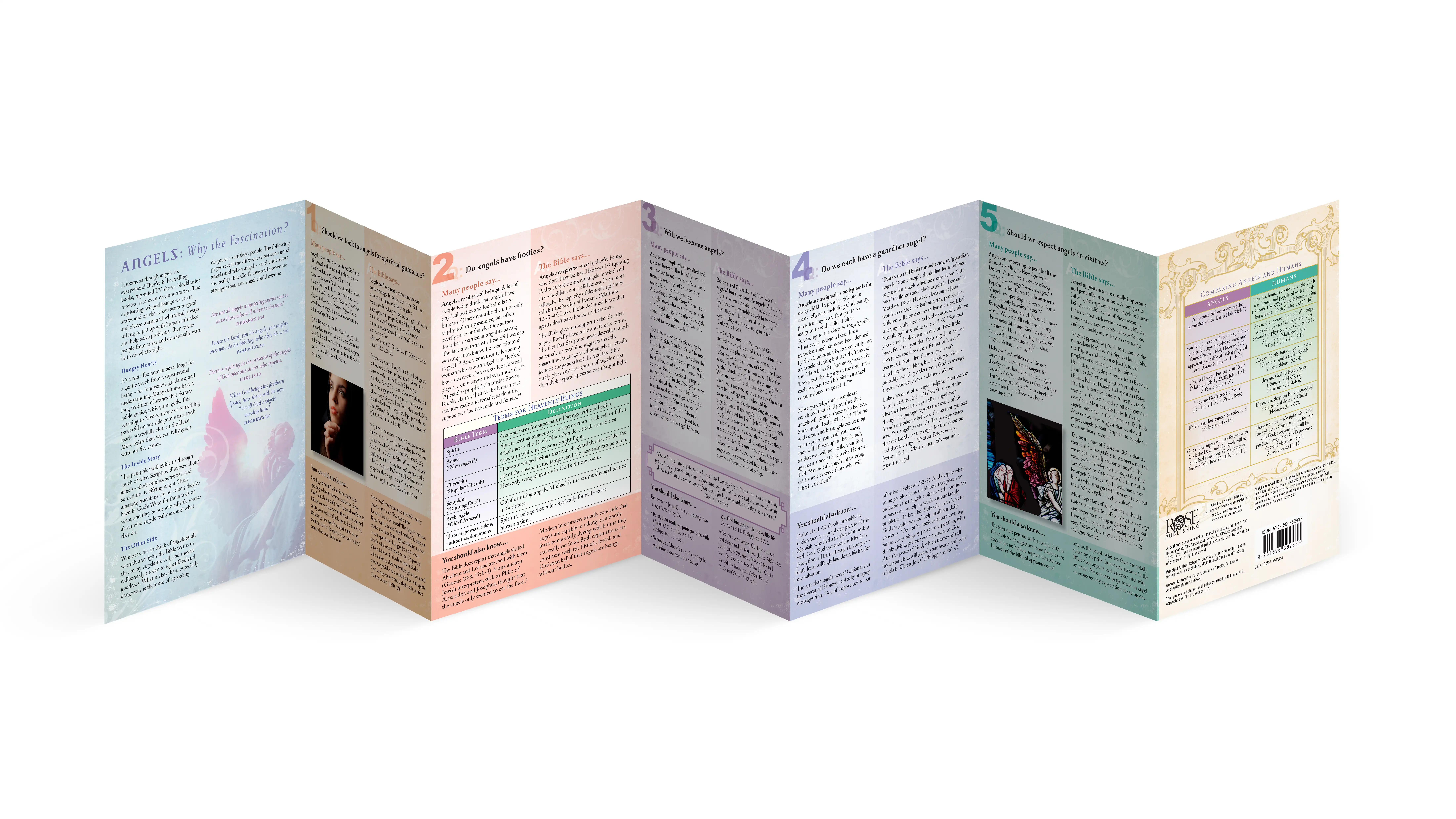10 Questions and Answers on Angels 2 10 Questions and Answers on Angels