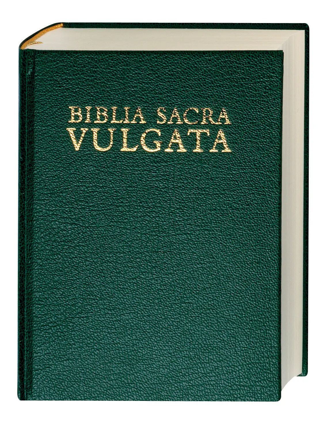 Biblia Sacra Vulgata (Vulgate) 