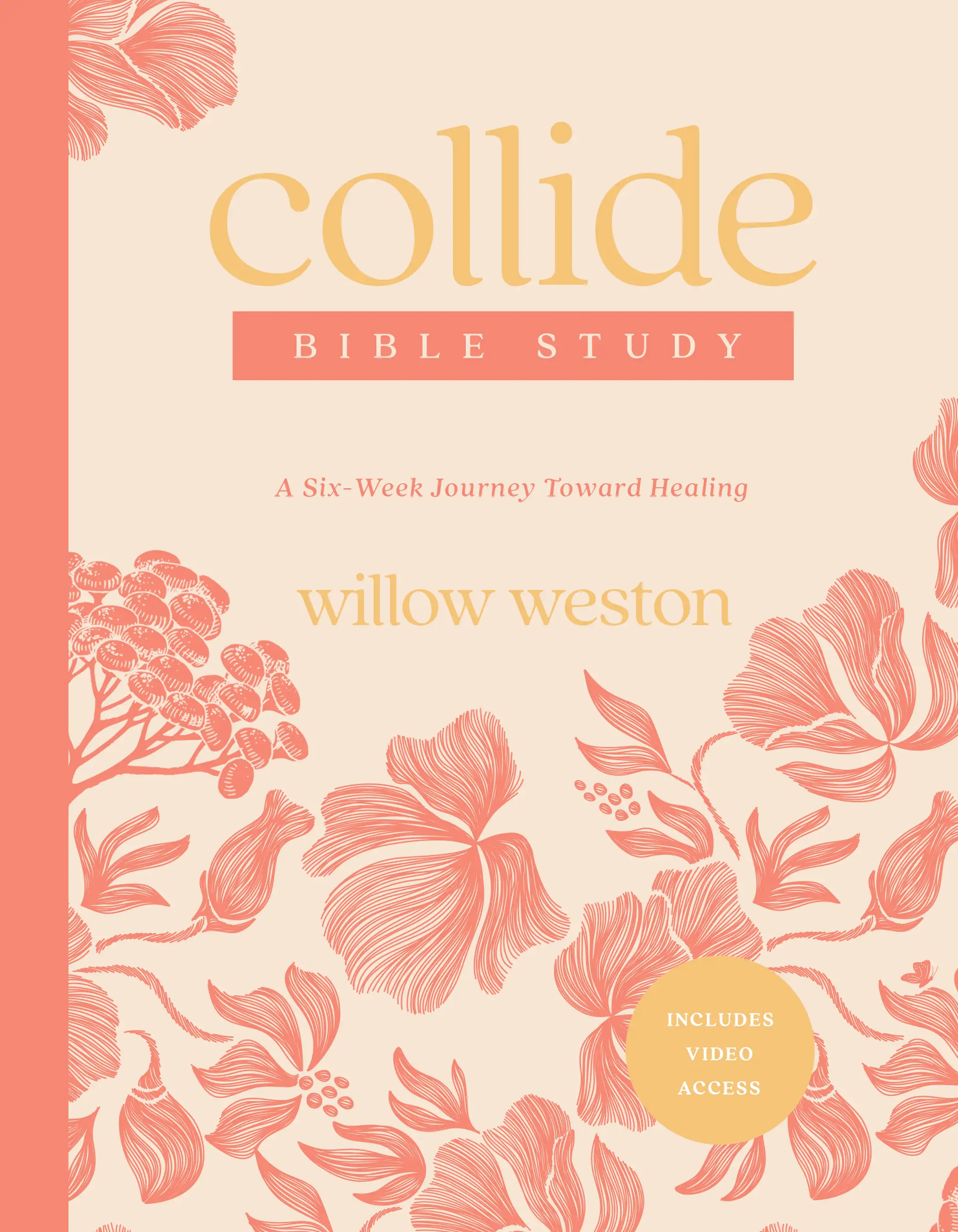 Collide Bible Study with Streaming Video Access 