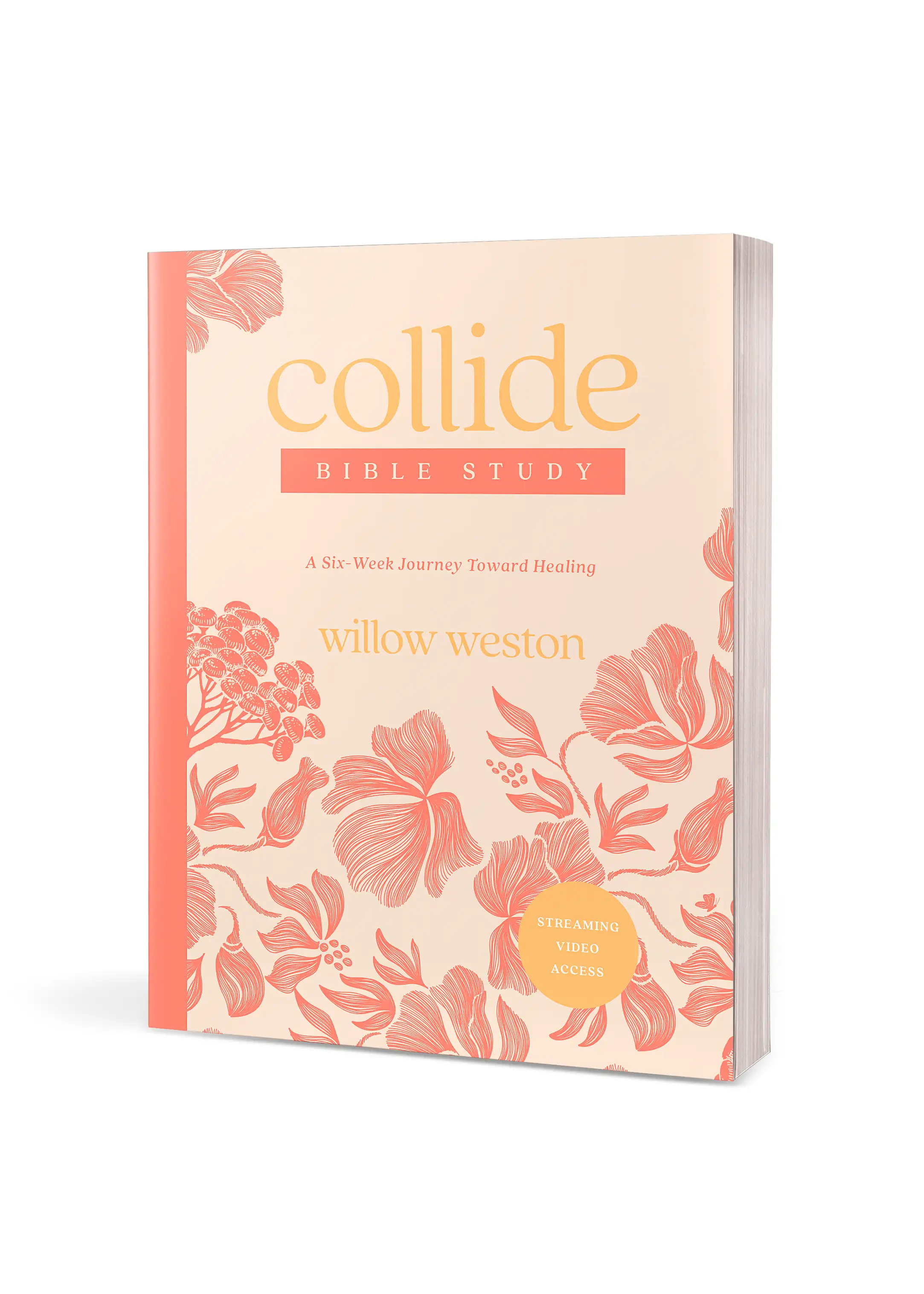 Collide Bible Study with Streaming Video Access 2 Collide Bible Study with Streaming Video Access