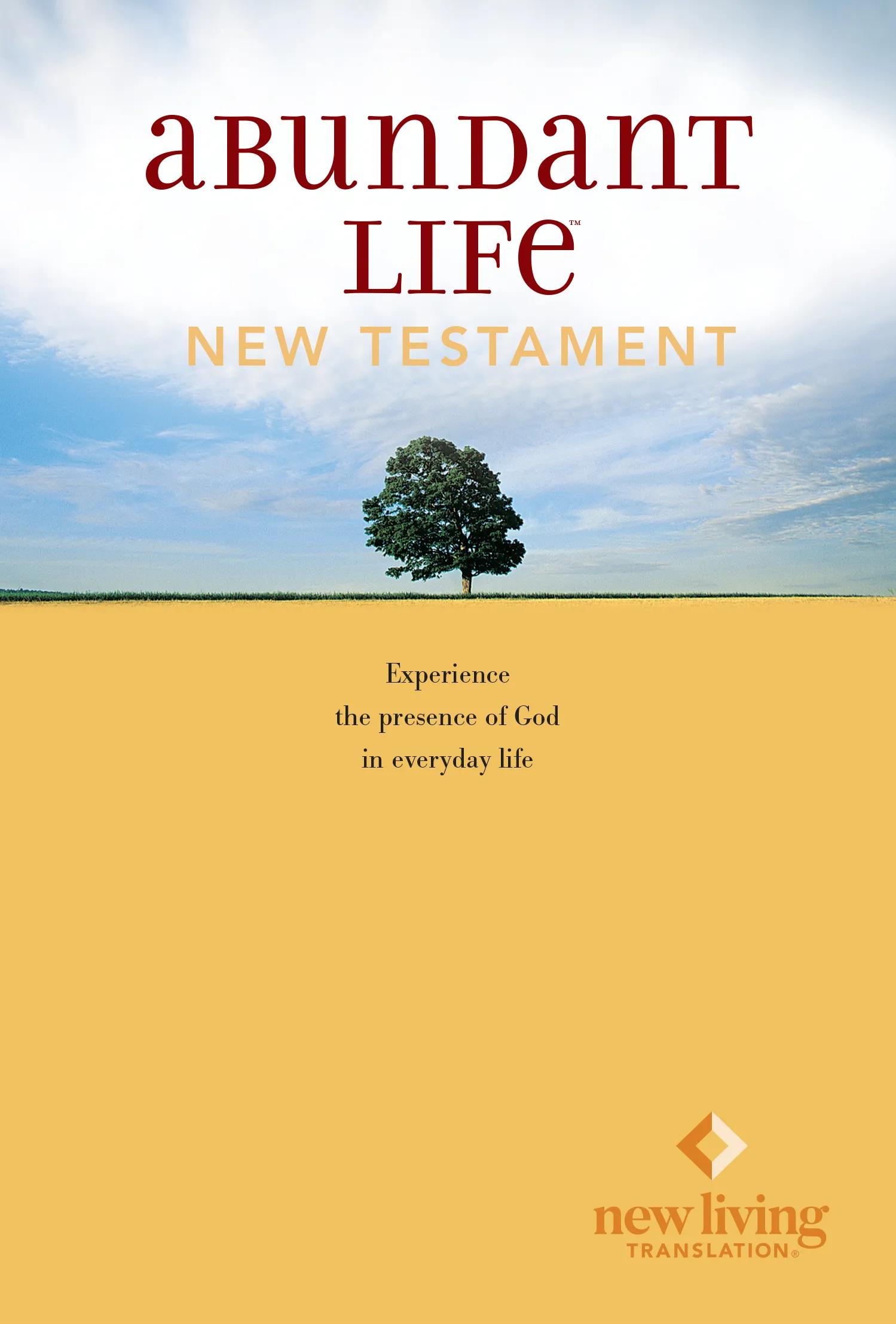 Abundant Life Bible New Testament 