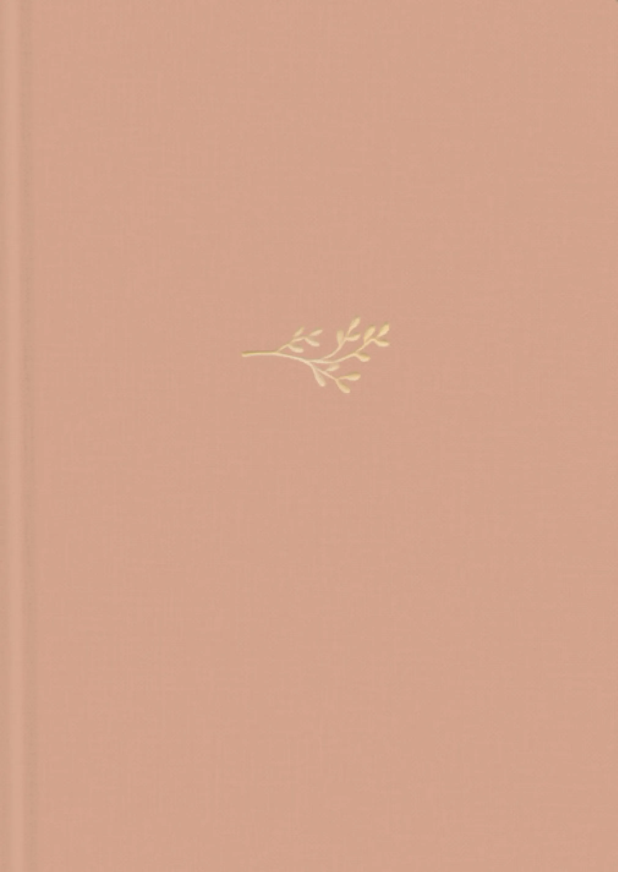 NLT Life Application Study Bible, Third Edition 3 NLT Life Application Study Bible, Third Edition
