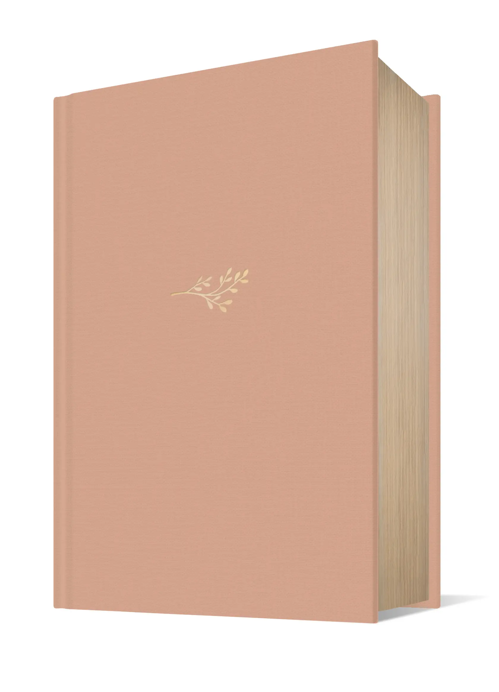 NLT Life Application Study Bible, Third Edition 5 NLT Life Application Study Bible, Third Edition