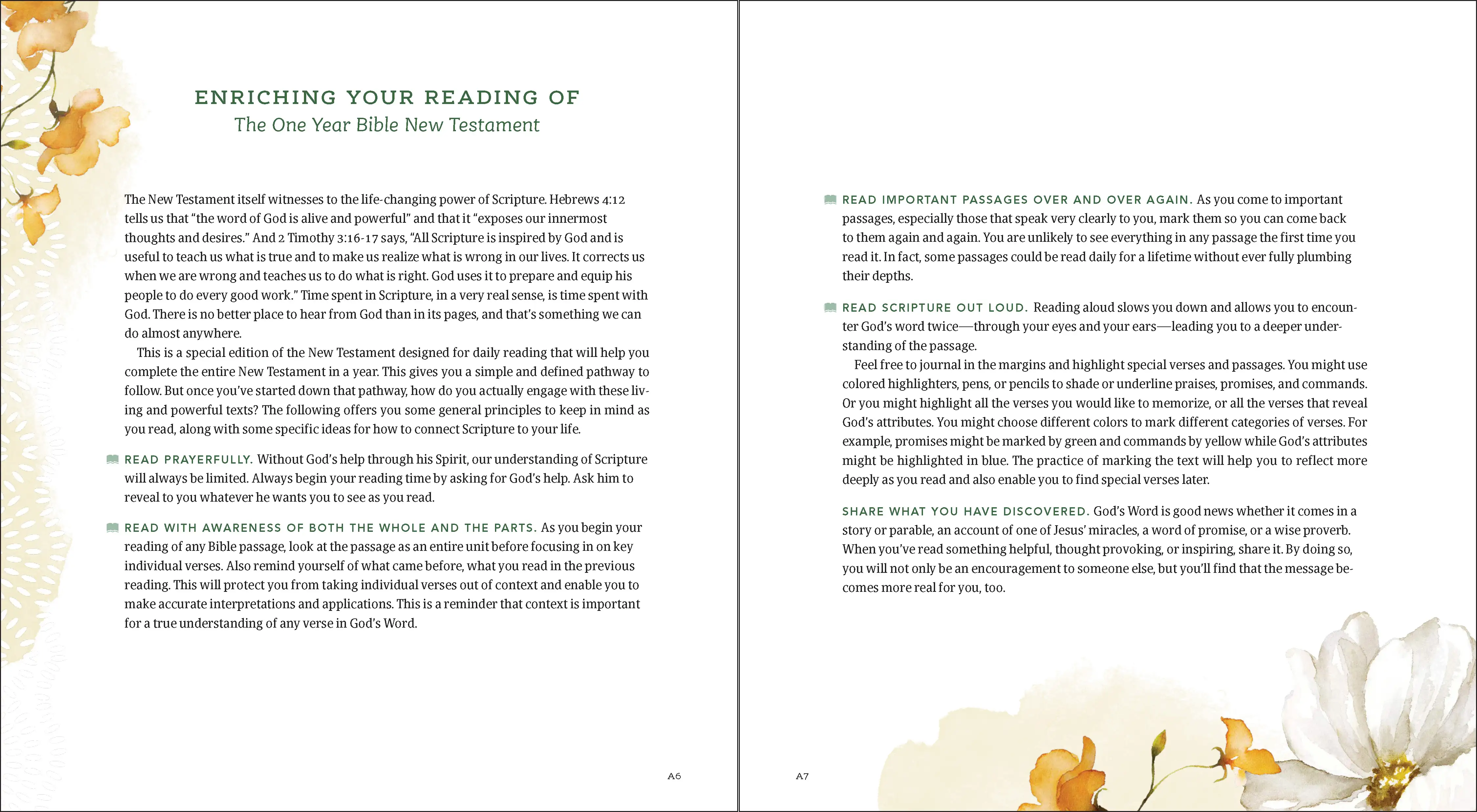 The One Year Bible New Testament: NLT 3 The One Year Bible New Testament: NLT