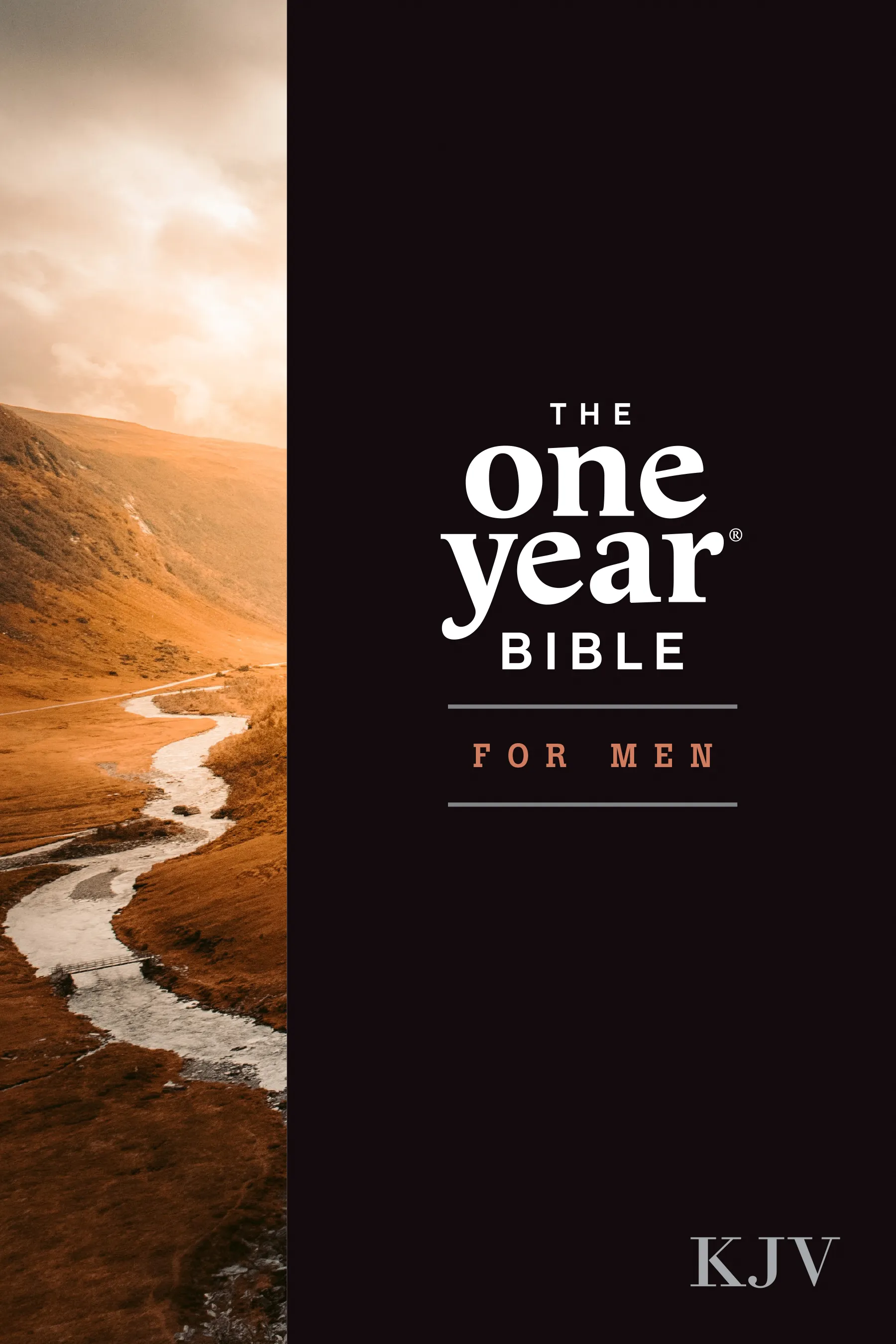 The One Year Bible for Men, KJV 