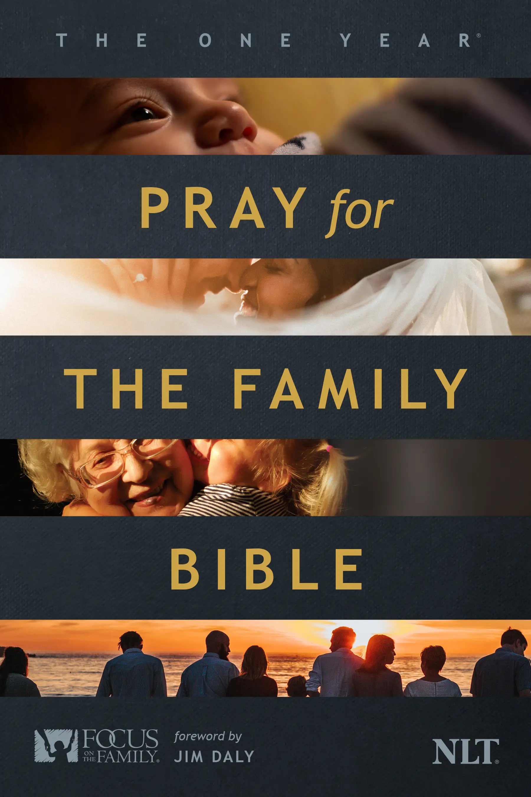 The One Year Pray for the Family Bible NLT 