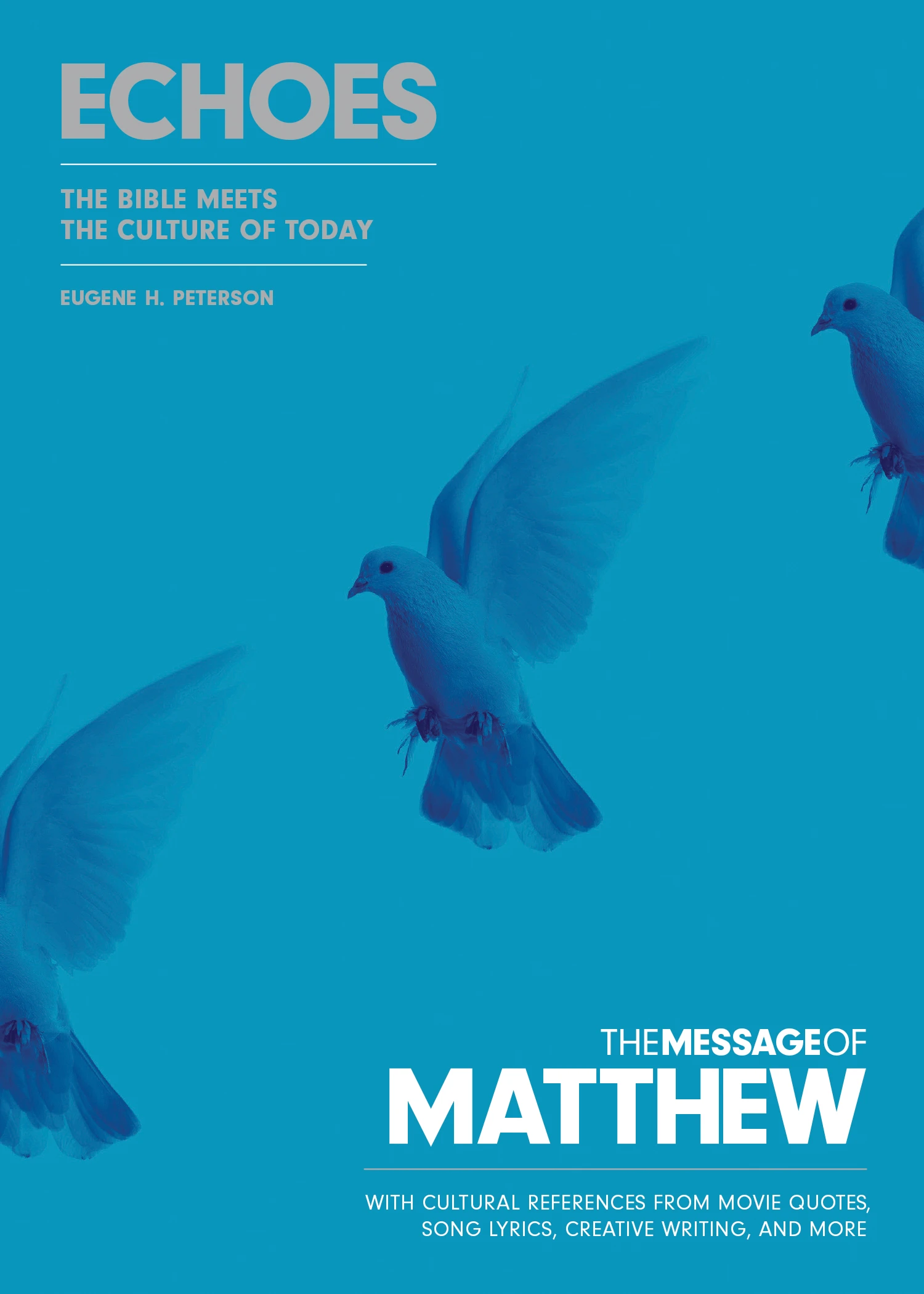 The Message of Matthew: Echoes 