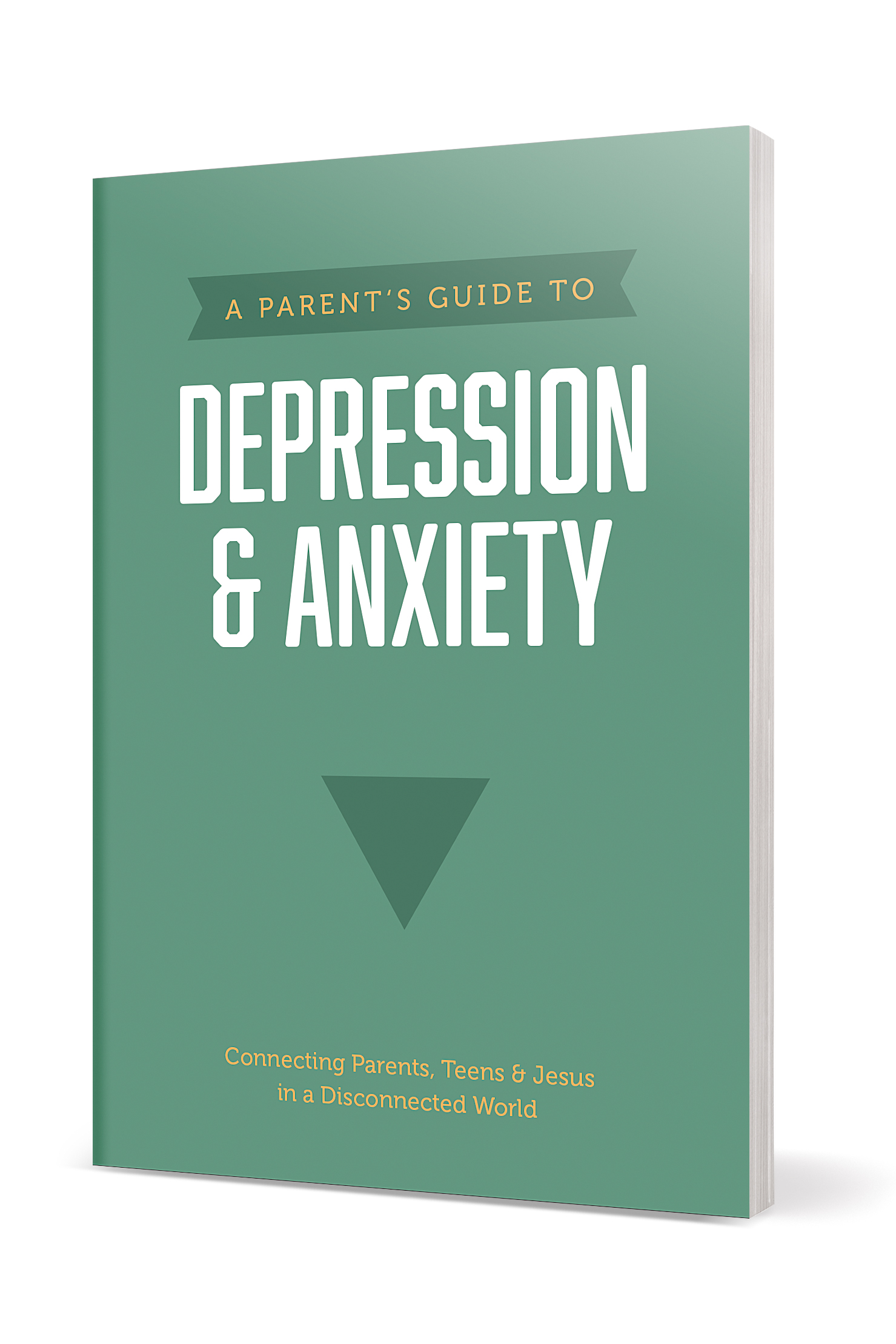 A Parentâs Guide to Depression & Anxiety 2 A Parentâs Guide to Depression & Anxiety