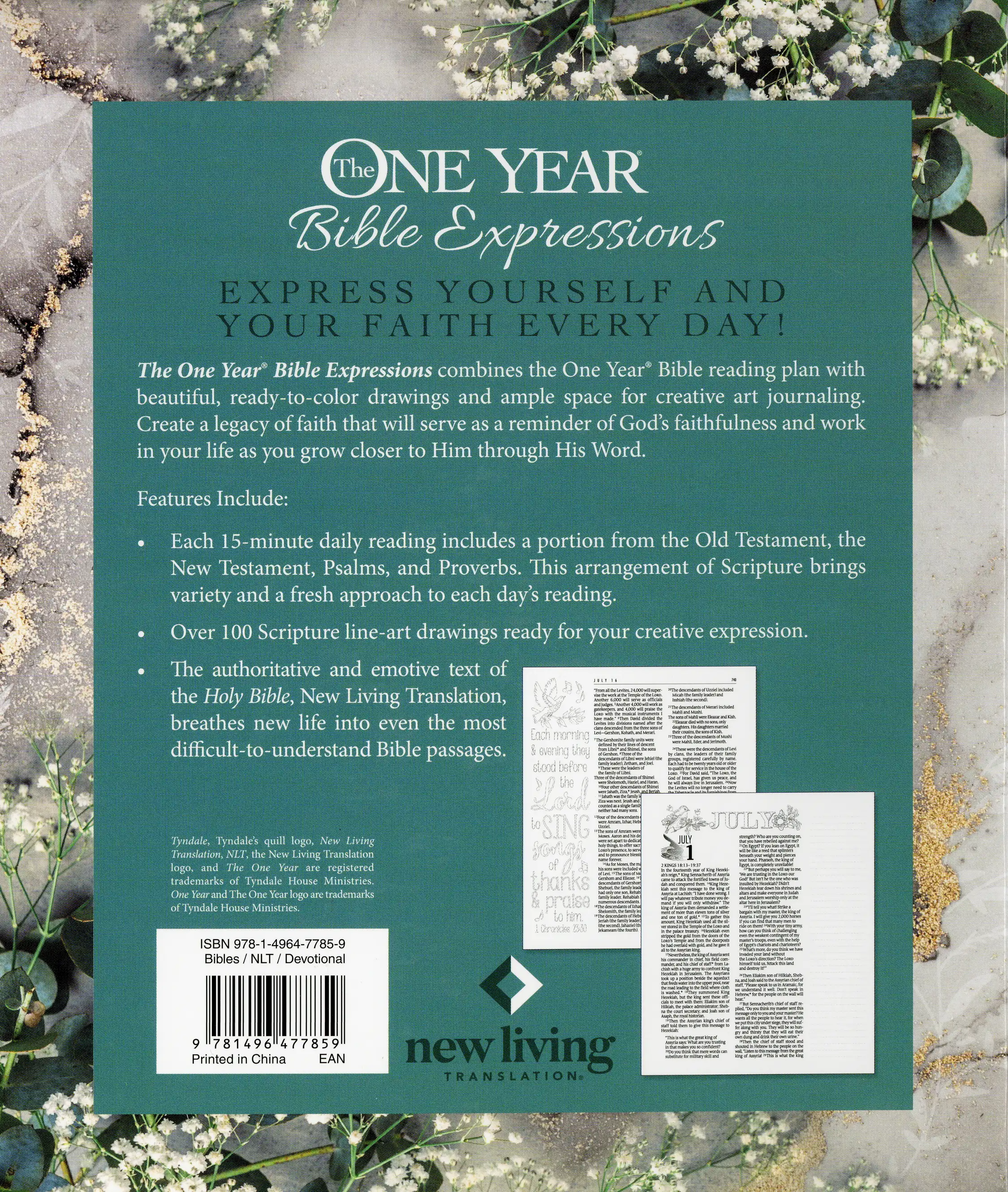 The One Year Bible Expressions NLT 4 The One Year Bible Expressions NLT